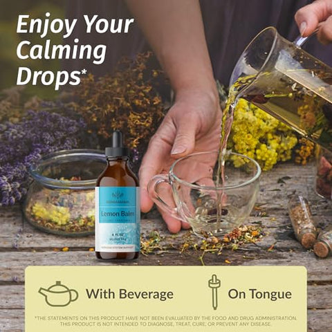 HERBAMAMA Lemon Balm and Iodine Kit Bundle of Lemon Balm Tincture and Potassium Iodine Gummies Vegan NonGMO Alcohol and GelatinFree 2 Pack 4 fl oz