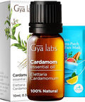 Gya Labs Cardamom & Vanilla Essential Oil Set - Aromatherapy Grade Essential Oils Set - 2X0.34 Fl Oz - Gya Labs