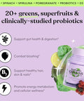Lemme Greens Superfood Gummies W/Multi - Support Gut Health & Reduce Bloating 20 Organic Greens And Superfruits Clinically Studied Probiotics D3 B12 - Berries & Greens Flavored (60 Count)