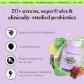 Lemme Greens Superfood Gummies W/Multi - Support Gut Health & Reduce Bloating 20 Organic Greens And Superfruits Clinically Studied Probiotics D3 B12 - Berries & Greens Flavored (60 Count)