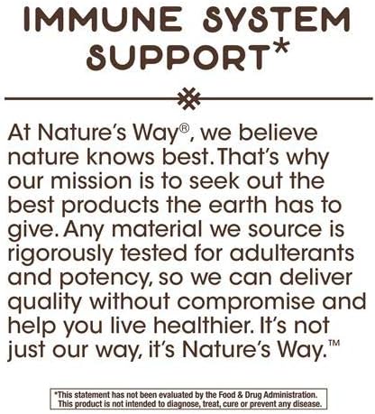 NatureS Way Zinc Lozenges 60 Count