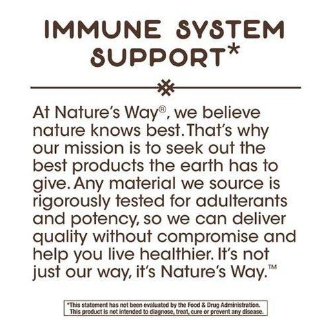 Nature'S Way Zinc Lozenges 60 Count
