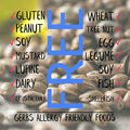 Gerbs Roasted Unsalted Whole Hemp Seeds 4 lbs. | Dry Roasted, Resealable Bag | Bold, Nutty Flavor & Crunch | Top 14 Allergen-Free