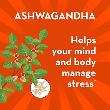 Align Probiotic Digestive Destress Probiotic For Women And Men With Ashwagandha Helps With A Healthy Response To Stress Gluten Soy Vegetarian 21 Capsules