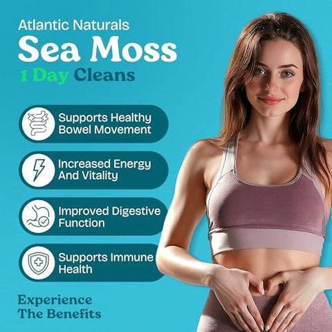 Atlantic Naturals 1 Day Colon Cleanse Full Body Detox Drink Sea Moss Supplement for Women and Men Gut Health Kidney and Liver Immune Energy Enhancer Gut Cleanse Lemon Flavor Juice 8 fl oz