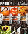 Gardeners Basics, Pumpkin Seeds to Plant - 5 Variety Baby Boo, Giant Big Max, Jack Be Little, Jack O Lantern, Sugar Pie, Great for Pumpkin Seed for Summer, Fall, Pumpkin Seeds for Planting