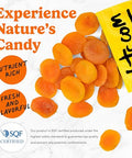 Nuts.com Ã¢â‚¬â€œ Dried Apricots Turkish Ã¢â‚¬â€œ No Sugar Added, Healthy Fruit Snack for Adults & Kids Ã¢â‚¬â€œ Naturally Plump & Juicy, Good Source of Potassium & Fiber Ã¢â‚¬â€œ Vegan, Gluten-Free, Kosher Pareve Ã¢â‚¬â€œ 2 Pound Bag