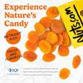 Nuts.com Ã¢â‚¬â€œ Dried Apricots Turkish Ã¢â‚¬â€œ No Sugar Added, Healthy Fruit Snack for Adults & Kids Ã¢â‚¬â€œ Naturally Plump & Juicy, Good Source of Potassium & Fiber Ã¢â‚¬â€œ Vegan, Gluten-Free, Kosher Pareve Ã¢â‚¬â€œ 2 Pound Bag