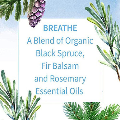 Garden Of Life Essential Oils 100 Organic & Pure Rosemary Black Spruce & Fir Balsam Essential Oil - Breathe Blend For Diffusers Home Skin & Body Care Clarifying Clearing Focusing 0.5 Fl Oz