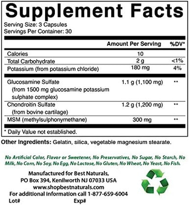 Best Naturals Glucosamine Chondroitin Msm Supplements 2600 Mg Per Serving 90 Capsules (90 Count (Pack Of 2))