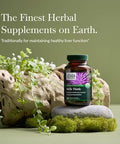Gaia Herbs Milk Thistle Liver Supplement & Cleanse Support For Maintaining Healthy Liver Function 60 Vegan Capsules (20Day Supply)