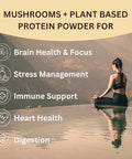 Lakanto Classic Monk Fruit Sweetener with Erythritol 1 lb and ChagaRoot MycoProtein Mushroom Protein Powder Vanilla 1.76 lb