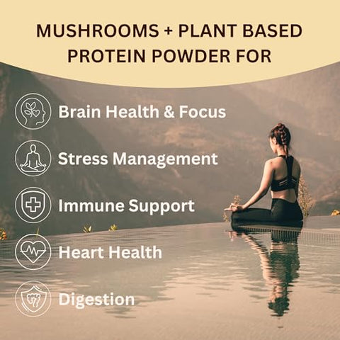 Lakanto Classic Monk Fruit Sweetener with Erythritol 1 lb and ChagaRoot MycoProtein Mushroom Protein Powder Vanilla 1.76 lb