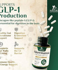 Akkermansia Probiotic, Inulin Prebiotic Fiber, Glp-1 Probiotic - Support Glp-1 Production, Akkermansia Muciniphila Probiotic Supplement For Digestive & Gut Health Support For Women & Men, 60 Capsules