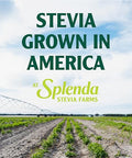 SPLENDA Stevia Zero Calorie Sweetener Plant Based Sugar Substitute Granulated Powder Single Serve Packets 1000 Count (Pack of 1)