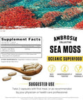 Ambrosia Irish Sea Moss Capsules High Dose 500 mg/Serving Made with Organic Sea Moss Veggie Capsules