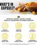 Ambrosia Golden Super Turmeric Bioavailable Curcumin Support Healthy Gut & Brain Health Joint Support 765Mg Of Active Curcuminoids 60 Veggie Capsules (30 Day Supply)