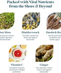 Pattern Wellness Sea Moss Complex Organic Sea Moss Burdock Root Bladderwrack Vitamin C and Ginger Capsules Immune Support Digestive Health Energy Support Vegan NonGMO 30 Capsules