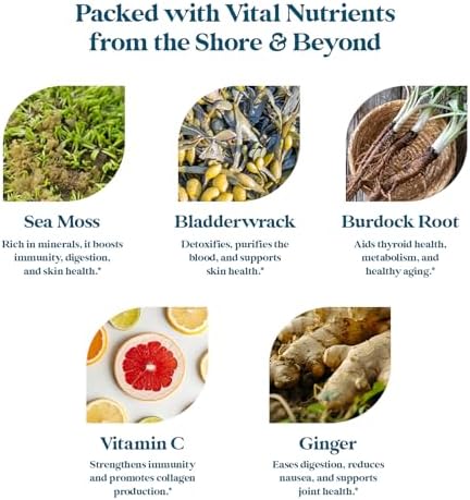 Pattern Wellness Sea Moss Complex Organic Sea Moss Burdock Root Bladderwrack Vitamin C and Ginger Capsules Immune Support Digestive Health Energy Support Vegan NonGMO 30 Capsules