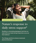Gaia Herbs Rhodiola Rosea Stress Support Supplement Traditionally For Supporting Healthy Stamina And Endurance 120 Vegan Liquid Phytocapsules (60Day Supply)