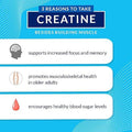 Bodytech Creatine & Glutamine With Beta-Alanine - Premium Performance Supplement For Enhanced Strength, Muscle Recovery, And Endurance - Advanced Formula (10.8Oz/ 30 Servings)