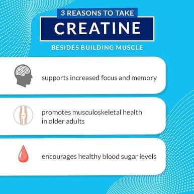Bodytech Creatine & Glutamine With Beta-Alanine - Premium Performance Supplement For Enhanced Strength, Muscle Recovery, And Endurance - Advanced Formula (10.8Oz/ 30 Servings)