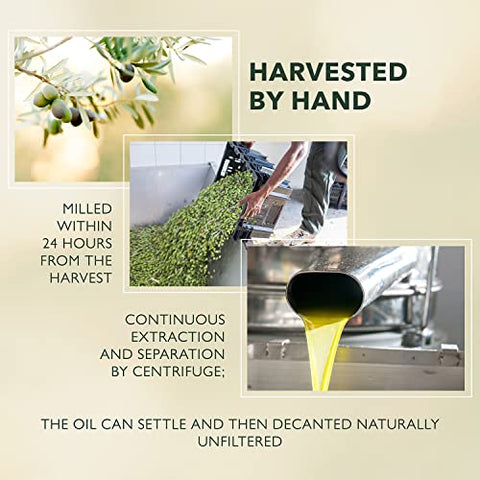 Frantoi Extra Virgin Olive Oil, 16.9 fl oz (500mL) ÃƒÂ¢Ã¢â€šÂ¬Ã¢â‚¬Å“ Award-Winning Sicilian EVOO Made from Biancolilla, Nocellara del Belice & Cerasuola Olives ÃƒÂ¢Ã¢â€šÂ¬Ã¢â‚¬Å“ Cold-Pressed within 24 Hours for Fresh, Fruity Flavor