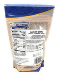 Shiloh Farms Organic Barley Grits -- 12 oz - 2 pc
