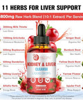 Migcopat 29-In-1 Kidney And Liver Cleanse Detox & Repair Drops High Absorption Cranberry And Milk Thistle Supplement Natural Herbal Daily Detox Support For Kidney Liver Urinary Tract Bladder 60Ml