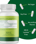 Bestvite Pycnogenol 100mg (60 Capsules) - French Maritime Pine Bark Extract - No Stearates - Gluten - Non GMO