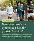 Gaia Herbs Saw Palmetto Supports Healthy Prostate Function For Men Contains Saw Palmetto And Sunflower Seed Lecithin To Support Men'S Health 60 Vegan Liquid Phytocapsules (30Day Supply)