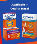 Zicam Cold Remedy Zinc Rapidmelts, Citrus Flavor, 25 Count (Pack Of 1)