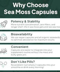 Wild Sea Moss Capsules - 100% Organic Irish Sea Moss With Organic Chlorella, Bladderwrack And Vitamin D For Energy, Lung Health And Thyroid Support For Women And Men - 60 Capsules