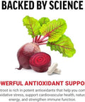 Force Factor Irish Sea Moss + Beet Root Supplement | Support Immune Health, Circulation, Natural Energy & Heart Health, with Antioxidants, Non-GMO, 120 Vegetable Capsules