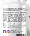 Ashwagandha 10:1 Pure Root Extract, 2.5% Withanolides (Potency of 5,000mg) 90 veggie caps, Helps reduce anxiety, healthy sleep patterns, memory enhancer, and Nervine Tonic