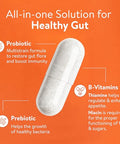 Velbiom Happy Cultures Gut Feeling Digestion Supplement Probiotics Bacillus Coagulans 4.1 Billion Cfu To Help Bloating Ibs Digestion Clinically Tested - 30 Veg Capsules Pack Of 2