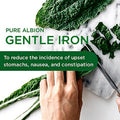 Emerald Labs Gentle Iron 25Mg - Ferrous Bisglycinate Chelate - Chelated Iron Supplement That Supports Energy, Eye, Immune & Heart Health - 120 Vegetable Capsules (120-Day Supply)