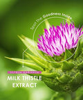 Milk Thistle Extract 7500Mg ÃƒÂ¢Ã¢â€šÂ¬Ã¢â‚¬Å“ 80% Silymarin Content - 120 Vegan Capsules (4 Months Supply) - By Alpha01