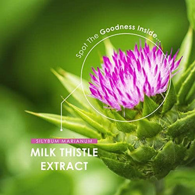 Milk Thistle Extract 7500Mg ÃƒÂ¢Ã¢â€šÂ¬Ã¢â‚¬Å“ 80% Silymarin Content - 120 Vegan Capsules (4 Months Supply) - By Alpha01
