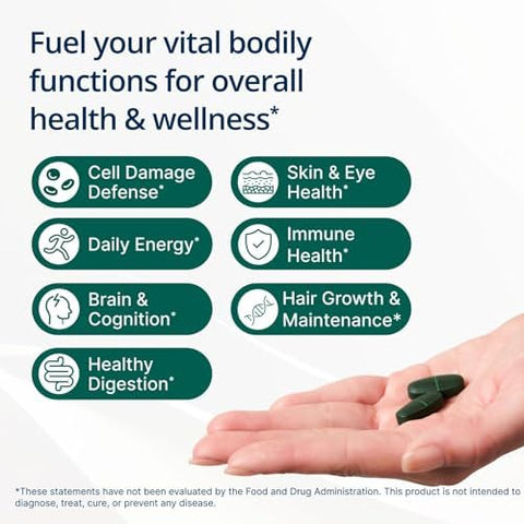 Metagenics PhytoMulti with Iron Daily Multivitamin for Men and Women with Phytonutrients* Methylfolate Vitamins A K Zinc and B6 Iron Bisglycinate 18 mg Non GMO Gluten Free 60 Tablets