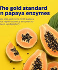 Enzymedica Papaya Gold Advanced Digestive Enzymes With Natural Organic Papaya & Chlorophyll For Comprehensive Digestion Support High Potency Bromelain & Papain Vegan Mint 120 Chewable Tablets