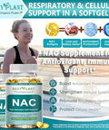 Hzzyplant Nac Supplement - Nac Softgels For Antioxidant Immune Respiratory Liver Health Support - High Absorption Nac Supplement N Acetyl Cysteine 1200Mg - Non-Gmo Gluten-Free Vegan 2 Month Supply