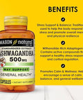 Mason Natural Ashwagandha 500 Mg Adaptogen For Stress & Energy Support Herbal Supplement 60 Day Supply