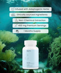 mars by GHC Mars Surge Natural Sea Moss Caps (60N) Packed with 84 Minerals Powered with Black Seed Oil Overall Well Being Pack of 1