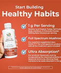 Maryruth's Turkey Tail Mushroom Liposomal (Chocolate Fudge) & Vitamin C Liposomal