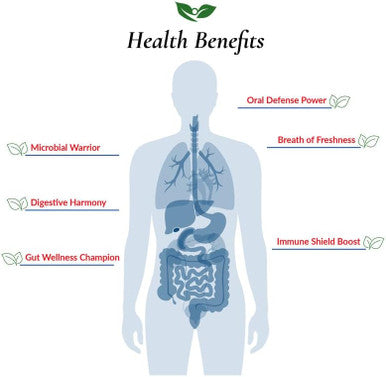 Foods For Gut Vital Formula 12 Strain Probiotics Powder 260 Billion Cfu 30 Grams | Digestive & Immune Support | High Potency