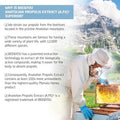 Bee And You Bundle: Propolis Shot With Vitamin C D3 And Zinc With Propolis Raw Honey Throat Spray Ultra Pure 100% Natural Immune Support Superfood