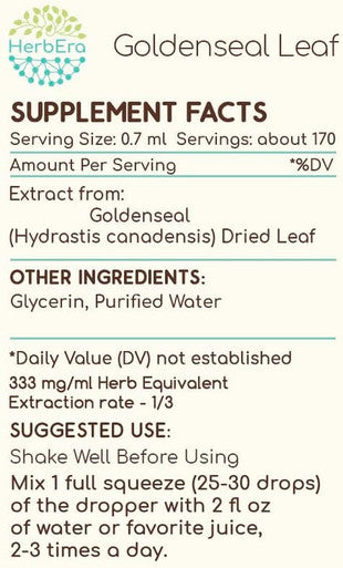 Goldenseal Leaf B120 Alcohol-Free Herbal Extract Tincture, Responsibly farmed Goldenseal Leaf (Hydrastis Canadensis) Dried Leaf (4 fl oz)