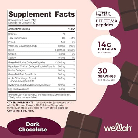Wellah The Afterglow Multi Collagen Protein Beauty (Dark Chocolate Flavored) 30 Servings