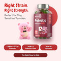 Maxmedix Kids Probiotics Gummies Prebiotic Probiotics For Kids - 1 Billion Cfu & Inulin (45-Day Supply) 90 Children Synbiotic Gummies Natural Apple Flavor Vegan Non-Gmo